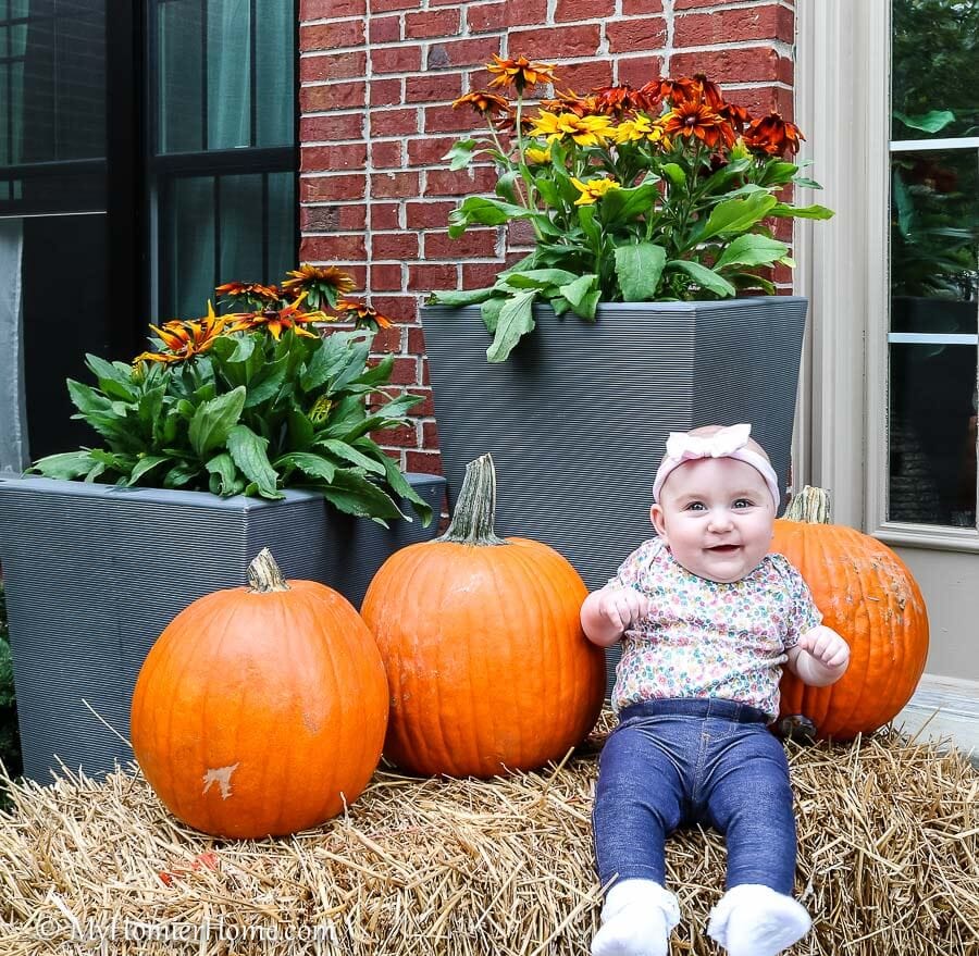 Just your standard baby amongst pumpkins picture! 