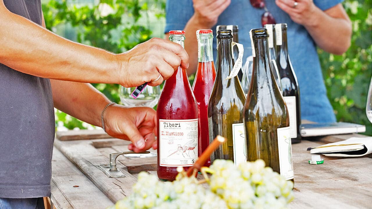 back to school stress reliever - Dry Farm Wines 1 In need of a back to school stress reliever? I've got just the thing for you... and it's healthy!